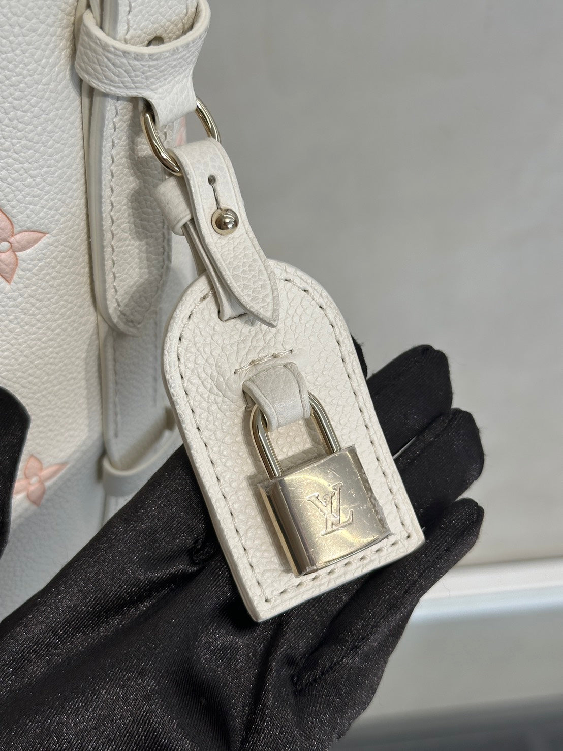LOUIS VUITTON All In BB - 拚色粉