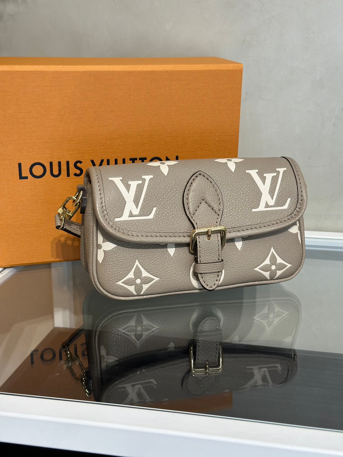 LOUIS VUITTON Nano Diane法棍包 - 斑鳩灰