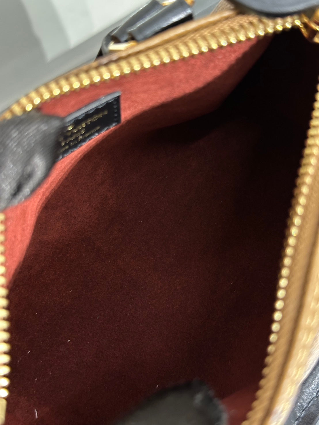 LOUIS VUITTON x Sun Yitian聯名 Nano Speedy