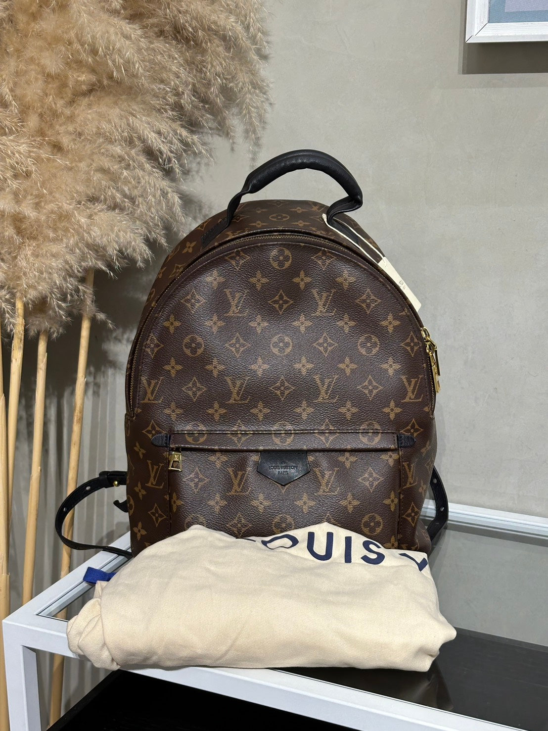 LOUIS VUITTON Palm Springs後背包 - MM