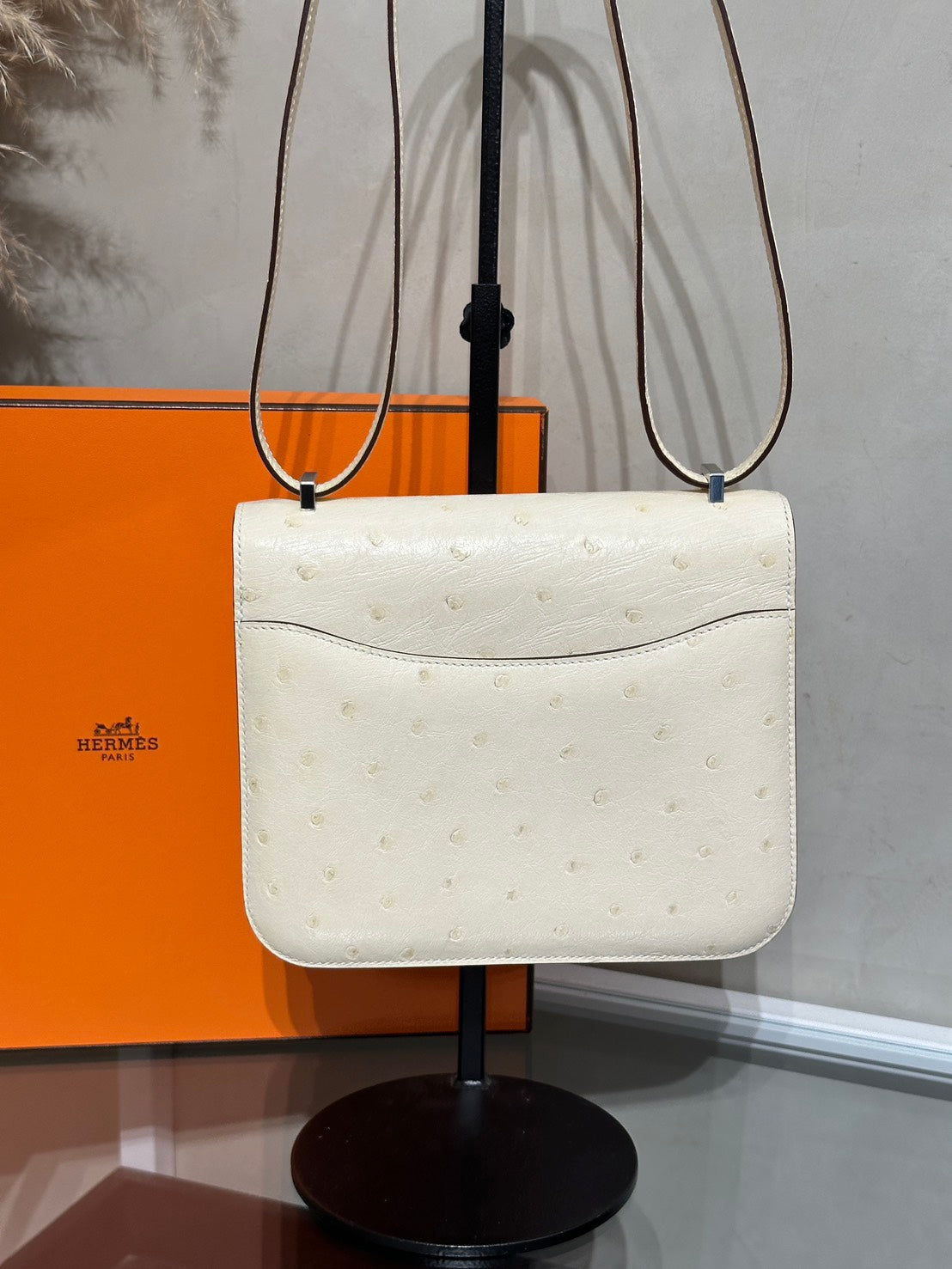 HERMES Mini Constance 19 - Craie 10 鴕鳥皮奶昔白銀 B