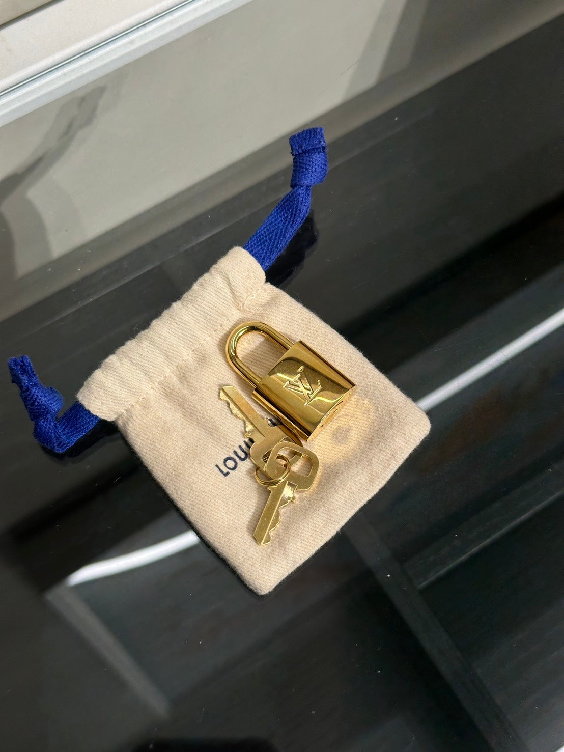 LOUIS VUITTON Speedy Bandouliere 20 - 黑邊背帶