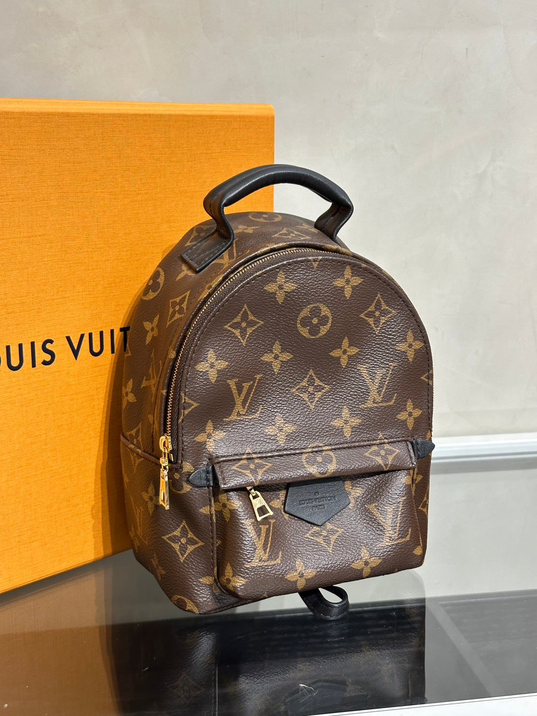 LOUIS VUITTON Palm Springs後背包 - Mini