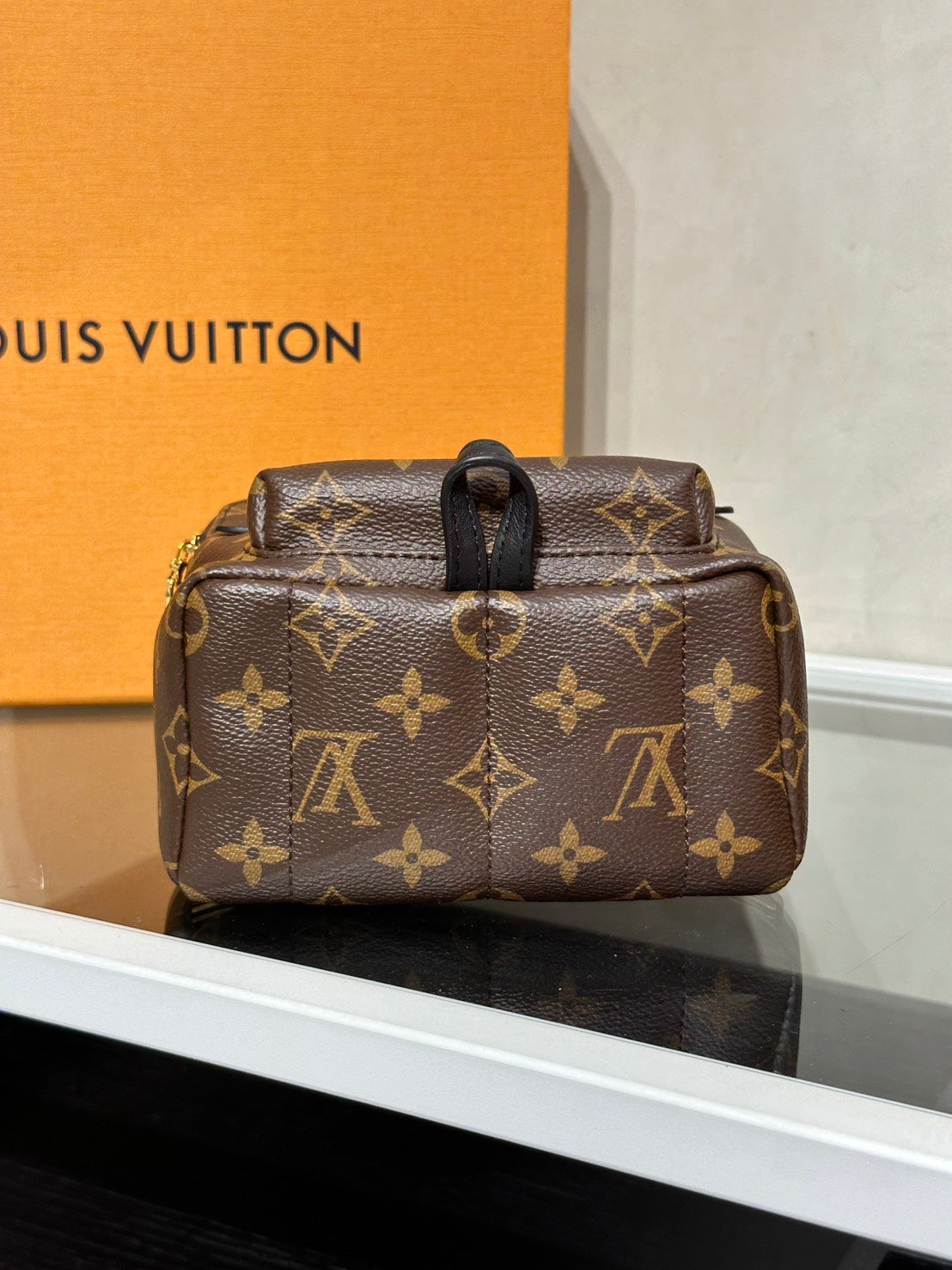 LOUIS VUITTON Palm Springs後背包 - Mini