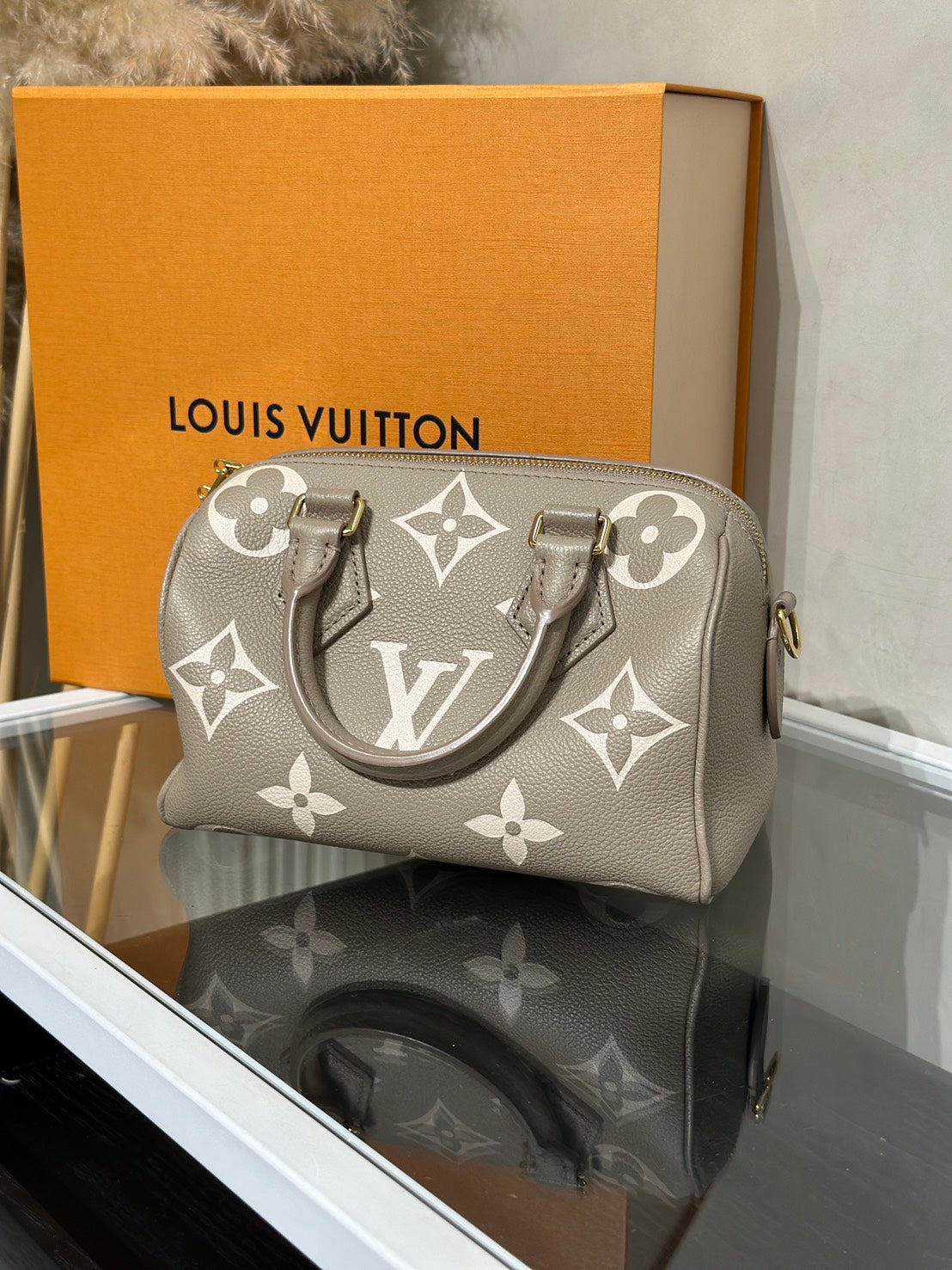 LOUIS VUITTON Speedy Bandouliere 20 - 斑鳩灰