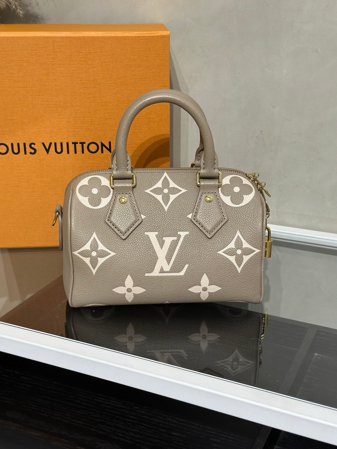 LOUIS VUITTON Speedy Bandouliere 20 - 斑鳩灰