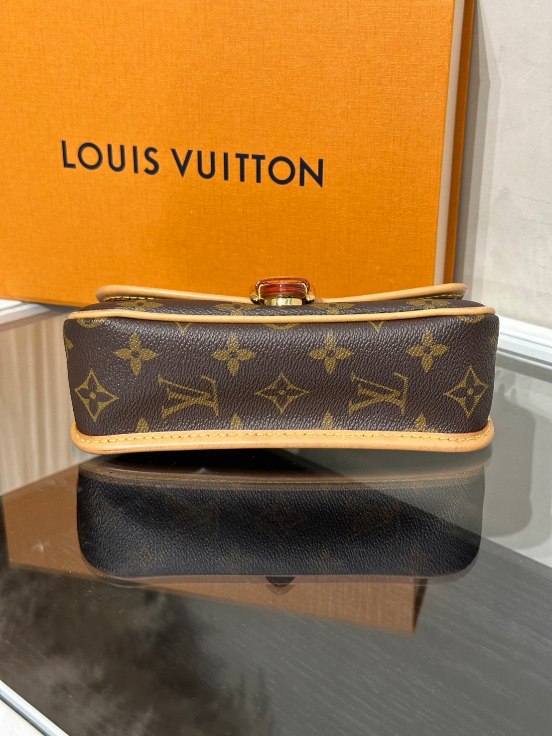 LOUIS VUITTON Nano Diane法棍包