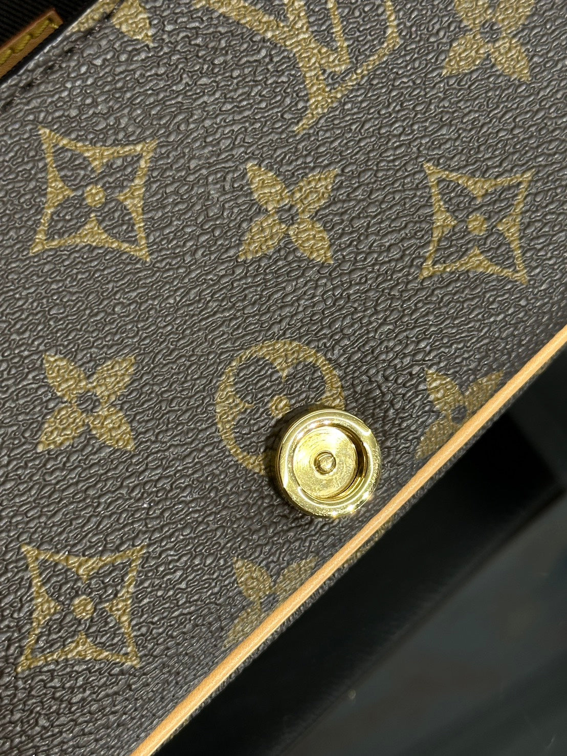 LOUIS VUITTON Nano Diane法棍包