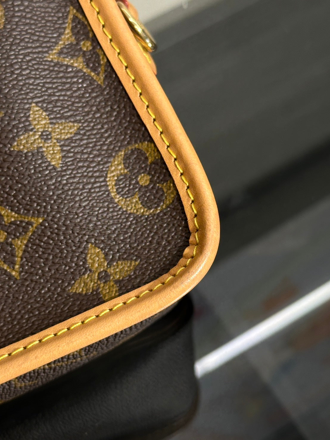 LOUIS VUITTON Nano Diane法棍包