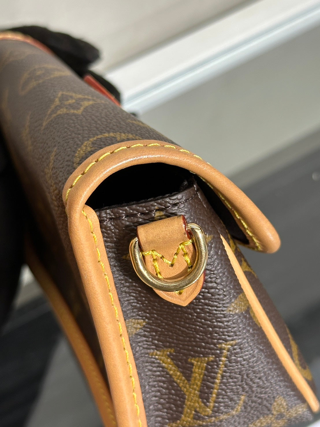 LOUIS VUITTON Nano Diane法棍包
