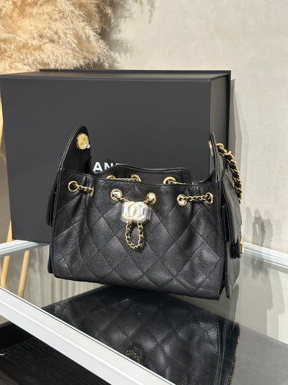 CHANEL 25 Mini Hobo Bag - 黑亮金
