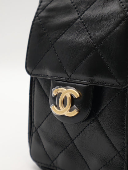 CHANEL 25 Mini Hobo Bag - 油蠟皮黑金銀