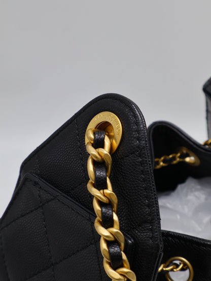 CHANEL 25 Mini Hobo Bag - 黑金