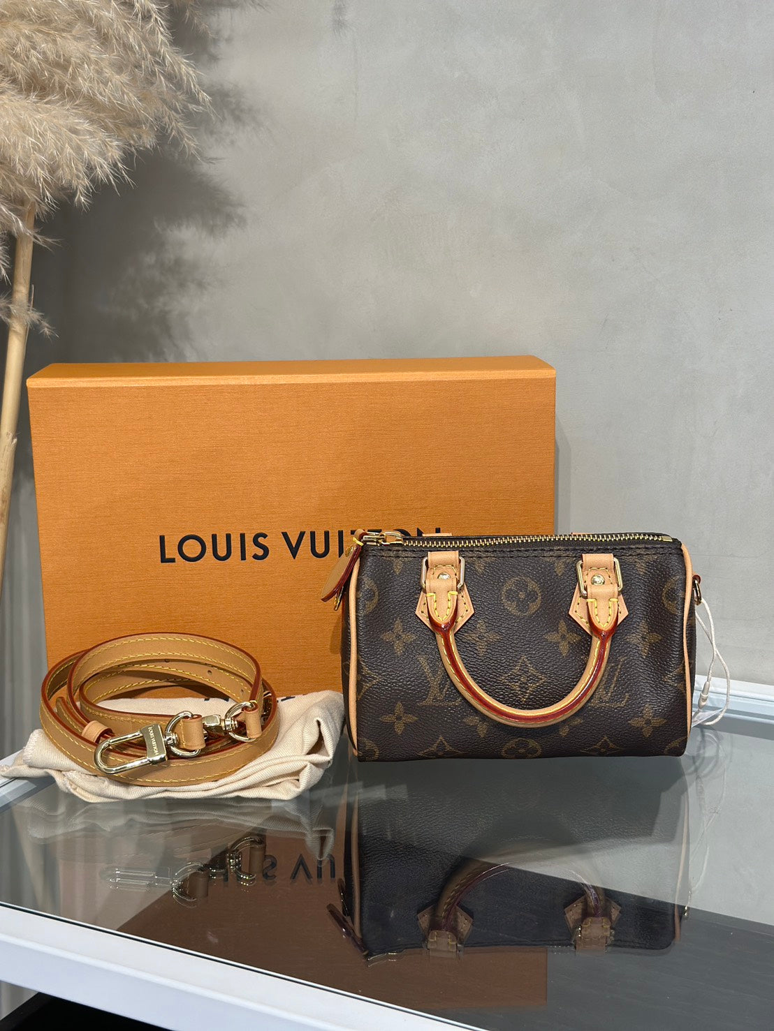 LOUIS VUITTON Nano Speedy