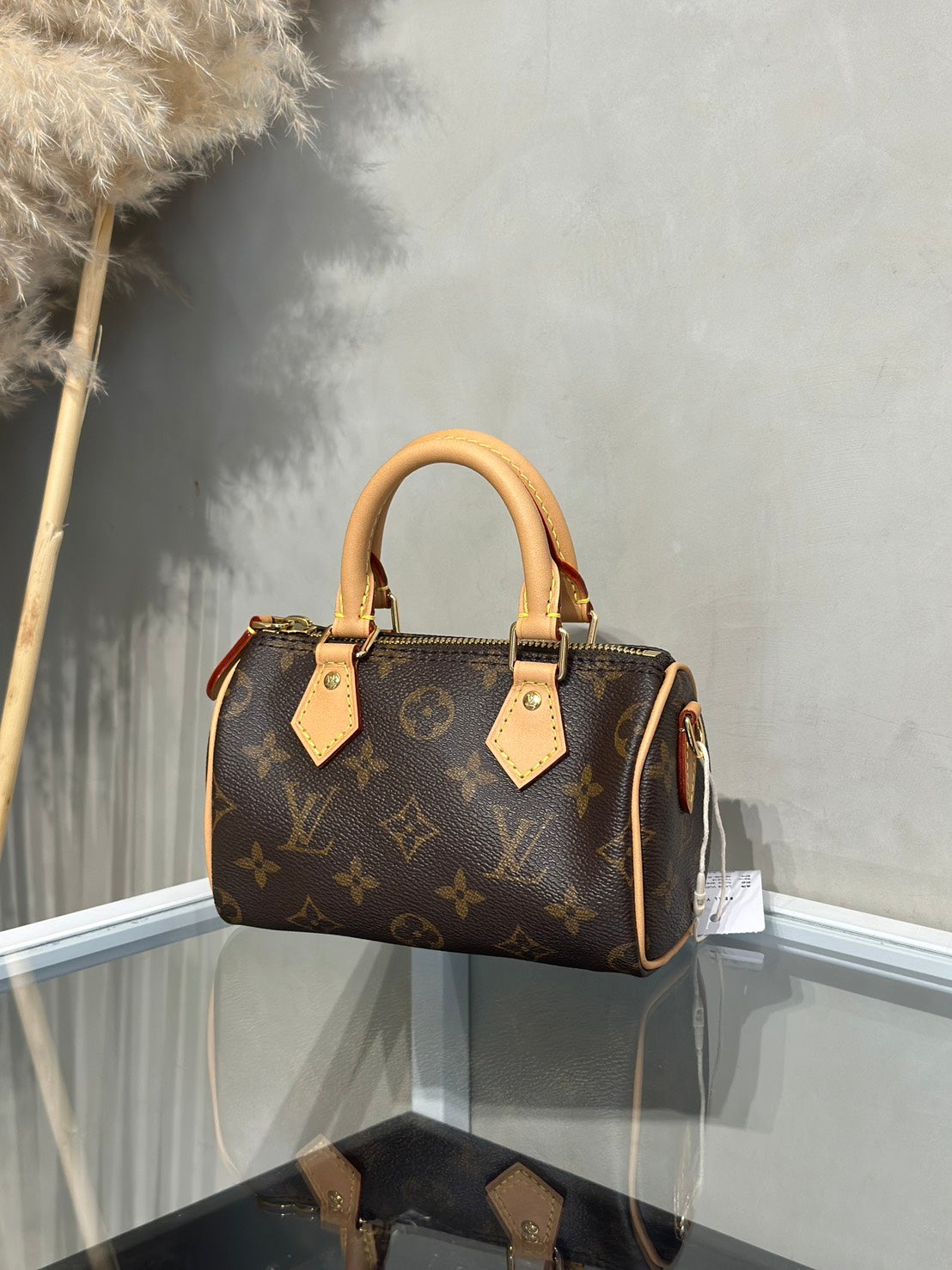 LOUIS VUITTON Nano Speedy