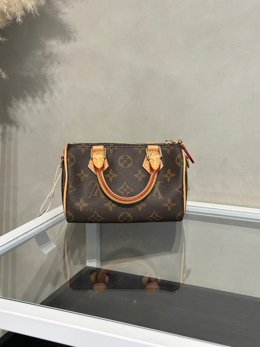 LOUIS VUITTON Nano Speedy