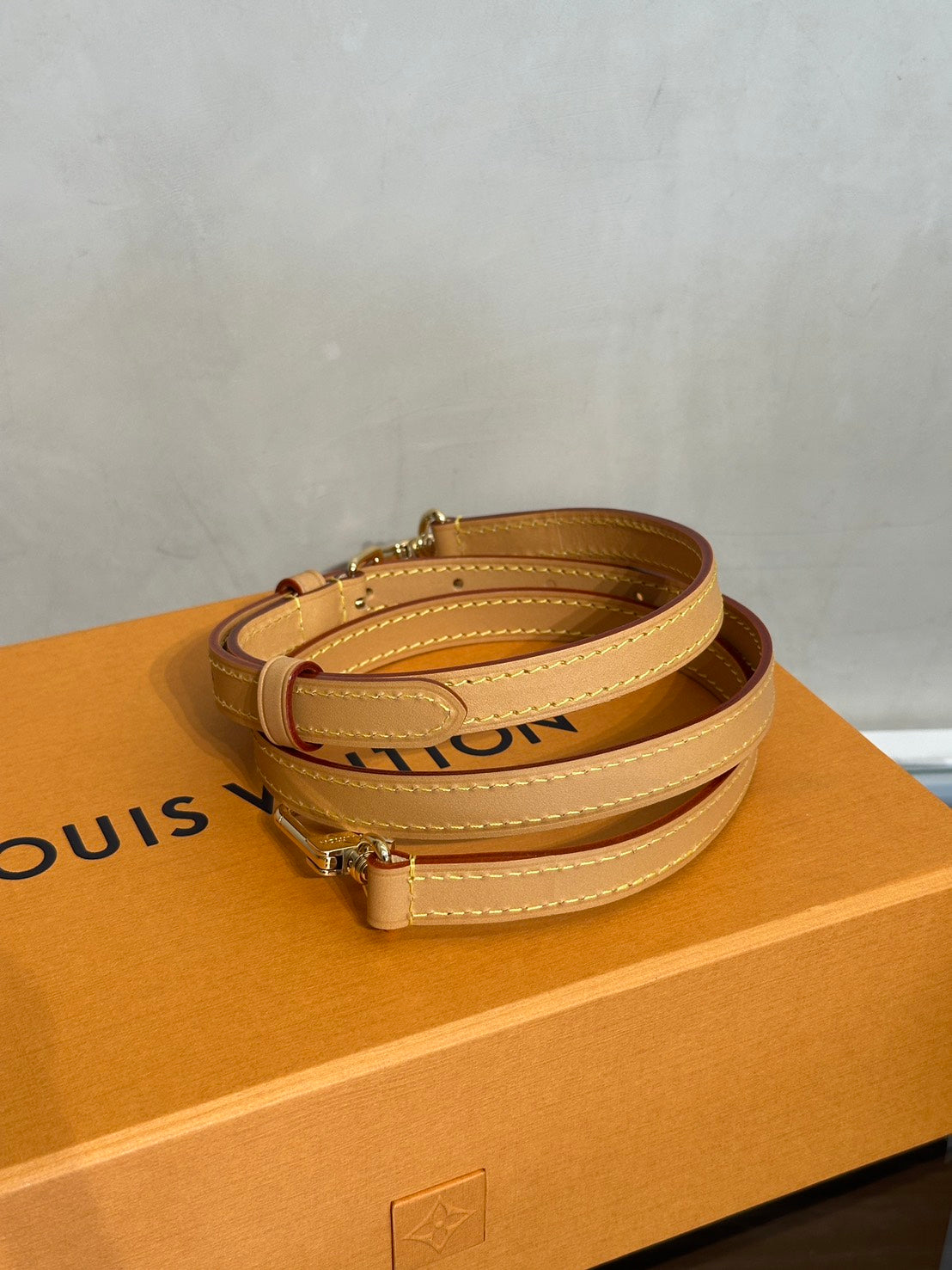 LOUIS VUITTON Nano Speedy