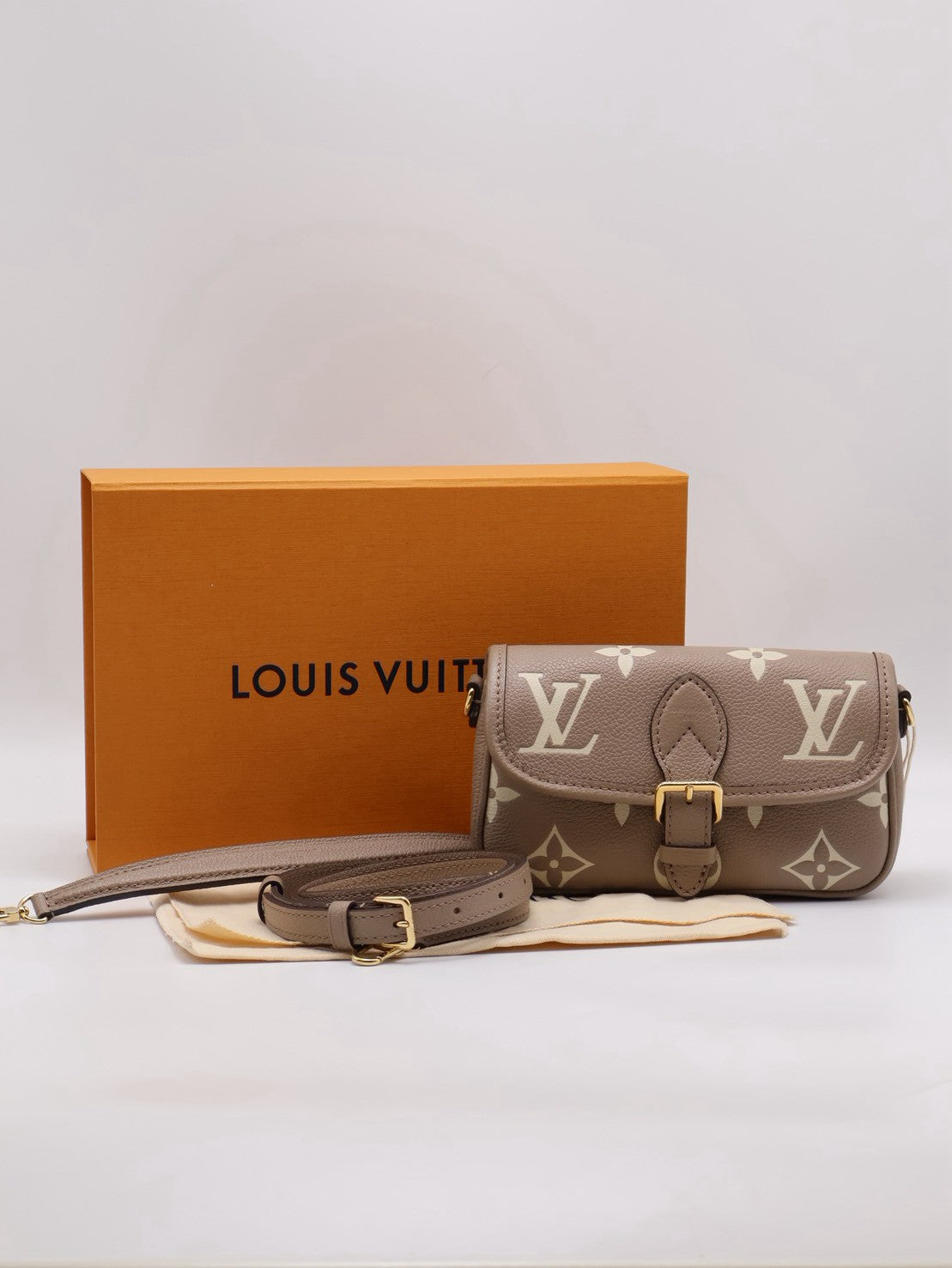 LOUIS VUITTON Nano Diane法棍包 - 斑鳩灰