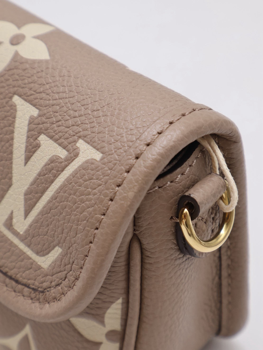 LOUIS VUITTON Nano Diane法棍包 - 斑鳩灰