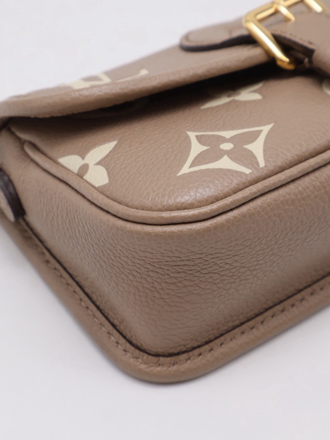 LOUIS VUITTON Nano Diane法棍包 - 斑鳩灰