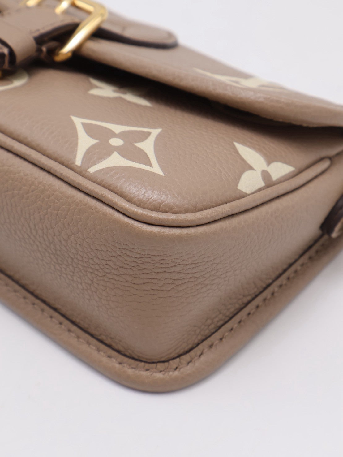 LOUIS VUITTON Nano Diane法棍包 - 斑鳩灰