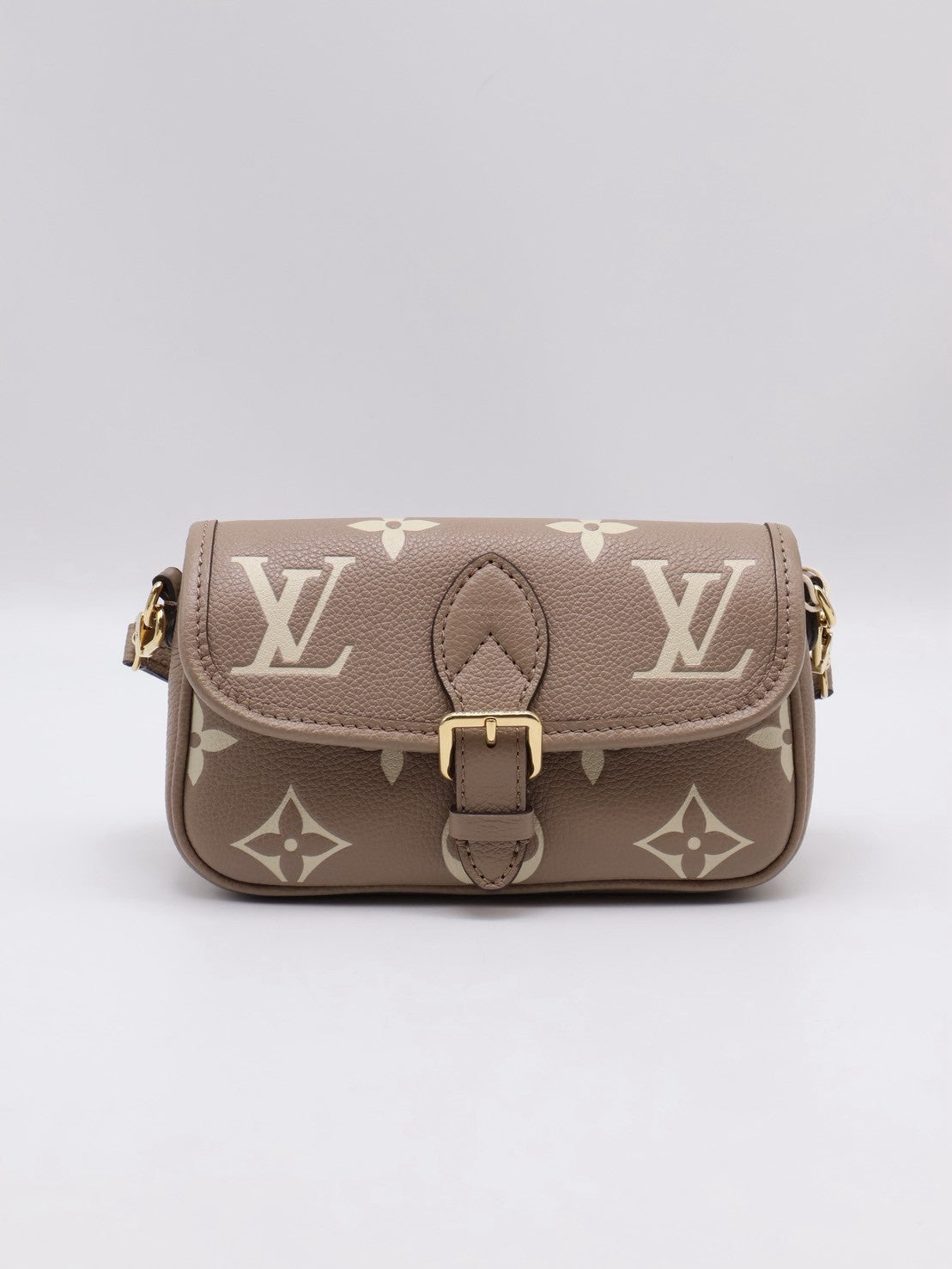 LOUIS VUITTON Nano Diane法棍包 - 斑鳩灰