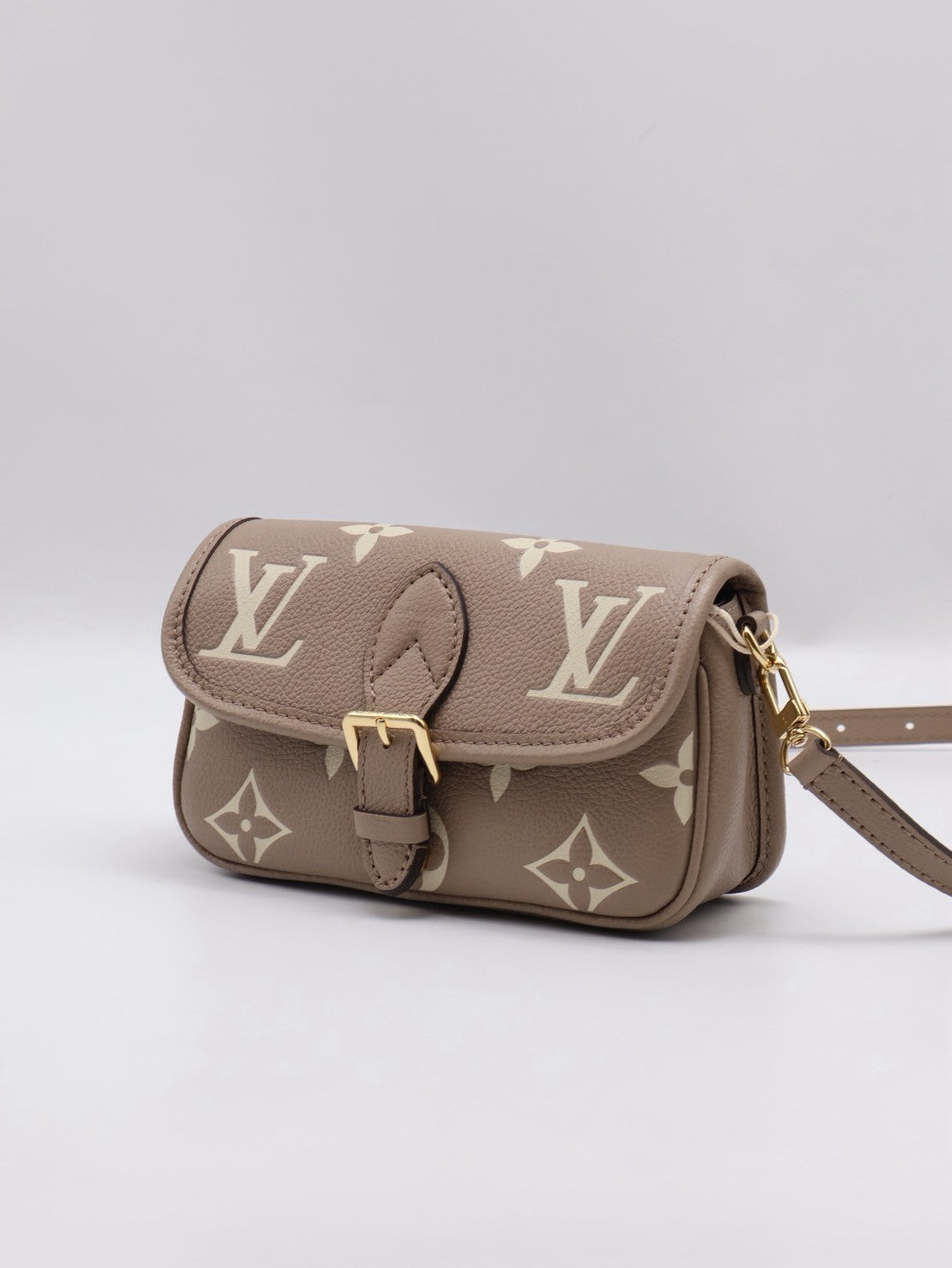 LOUIS VUITTON Nano Diane法棍包 - 斑鳩灰